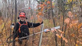 Cleaning gap regeneration with the Husky 535 FBx at Wicopy Woods [upl. by Quent433]