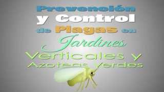 Control de Plagas en Jardines Verticales y Azoteas Verdes [upl. by Anilatsyrc]