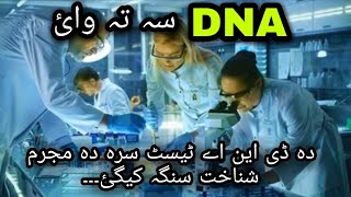 What is DNA  DNA test procedure in pushto  Pukhtoon Research [upl. by Tigges]