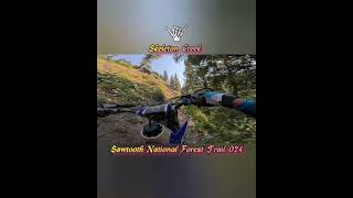 Lugging YZ250X up Skeleton Creek [upl. by Issej]