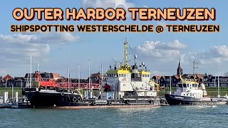 Shipspotting  Westerschelde  Terneuzen quotOuter harbour of Terneuzenquot  25042023 [upl. by Ettevol705]