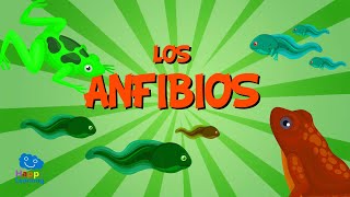 Los Anfibios  Vídeos Educativos para Niños [upl. by Crabb]