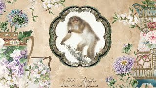 HOROSCOPO CHINO 2024 para el signo de la MONO 🐵 [upl. by Wayne]