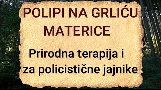 POLIPI NA GRLIĆU MATERICE  Prirodna terapija i za policistične jajnike  Recept za čaj [upl. by Thin595]