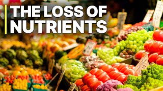 Industry Scandal The Loss Of Nutrients  Full Documentaries [upl. by Tamar]