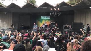 Iya Terra  By My Side Live  California Roots Festival  Monterey CA 52817 [upl. by Kcirrad408]