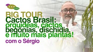 BIG TOUR Cactos Brasil Orquídeas Samambaias Begônias Cactos e MUITAS VARIEDADES de PLANTAS [upl. by Verda]