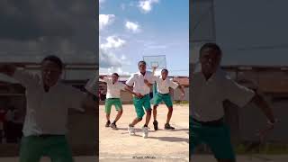 Agadoo dance stepsexplorepage viralvideo shorts ghanacelebrities [upl. by Nial327]