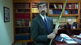 How to Tie a Lulav [upl. by Joyce123]