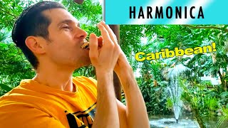 Caribbean harmonica  Ben Toury [upl. by Kumagai]