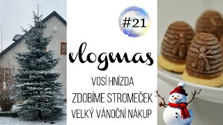 VLOGMAS 21 vosí hnízda stromeček a velký nákup jídla 🎄 [upl. by Irodim]