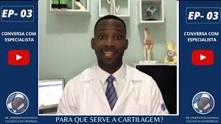 PARA QUE SERVE A CARTILAGEM [upl. by Odrick]