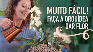 ADUBO CASEIRO para ORQUÍDEA florir como cuidar de PLANTA em VASO [upl. by Matias]