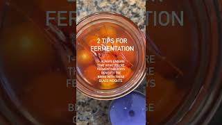 2 Tips For Fermentation [upl. by Hcahsem]