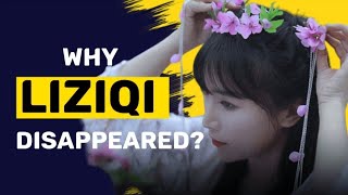 Why Li Ziqi Stopped Uploading Videos [upl. by Noraa]