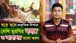 প্রাকৃতিক উপায়ে দেশি মুরগির বসন্ত ও রক্ত আমাশয় ভালো করুন  Natural way desi murgi treatment in bd [upl. by Derfniw]