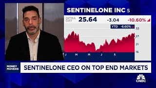 SentinelOne CEO on Q3 results competition in cybersecurity [upl. by Garneau]