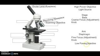 Microscope labeling [upl. by Sudnac]