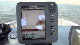 Furuno FCV585 depth finder marking bait [upl. by Ymrej426]