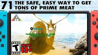 71 The Easy Way to Get Prime Meat on Ark Hunting With a Seagull  The Ark Switch Survival Guide [upl. by Kaja]