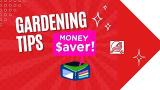 Transplanting Money Saver Tips [upl. by Rolf]