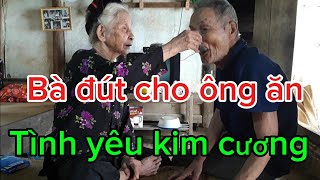 Tình yêu kim cương của hai ông bà trăm tuổi Chăm nhau như mới cưới [upl. by Nasho]