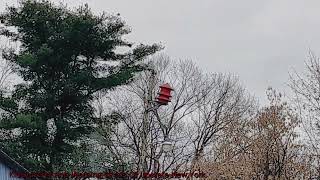 FS Model 2  Weekly Fire Siren Test  12232023  Melrose NY [upl. by Acirdna]