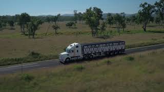 Freightliner Coronado SD 122 [upl. by Euginimod]