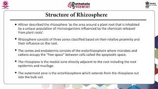 Role of microbes and plants in remediation  Rhizoremediation [upl. by Daly]