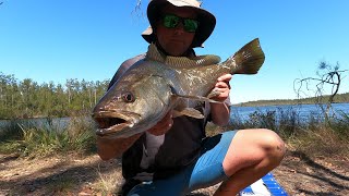 The Pursuit of Happiness  MY FIRST LEGAL MULLOWAY  FORSTER NSW [upl. by Oahc911]