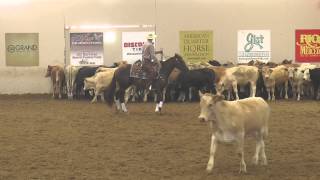 Johnny Isalena ridden by Clayton M Edsall  2014 NRCHA DerbyOpen Finals  Herd Work [upl. by Oniotna]