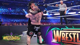 Brock Lesnar brutalizes Roman Reigns in a shocking display of force WrestleMania 34 WWE Network [upl. by Halil]