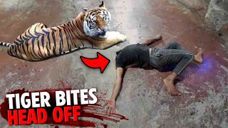 This Tiger BITES Thottathil Prajeeshs HEAD OFF [upl. by Ellemac613]