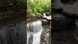 Bella Vista Arkansas Pinion Creek Falls bellavista shorts nwa northwestarkansas [upl. by Ecnaralc]