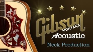 Max Guitar Store  At Gibson Montana Body Production part 3 [upl. by Trula]