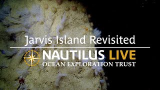 Breathtaking Biodiversity of Jarvis Island Revisited  Nautilus Live [upl. by Matuag]