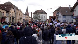 Le CARNAVAL de DANNEMARIE en vidéo  édition 2024 [upl. by Anel]