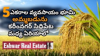 land for sale karimnagar siddipet middile 5 acres agricultural land [upl. by Abehsile]