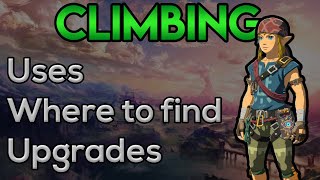 Climbing Gear Guide  Uses Locations Materials amp Upgrades ☆☆☆☆ Legend of Zelda Breath of the Wild [upl. by Malarkey]