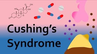 Cushings Syndrome and Corticosteroids Part 2 [upl. by Nolos344]