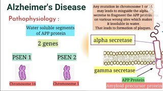 Alzheimers Disease Pathophysiology and complete explanation in Hindi [upl. by Ecidnacal]