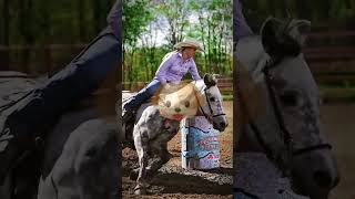 Im a nasty dog 😝 ib Me tiktok equestrian horse shorts edit [upl. by Shishko293]