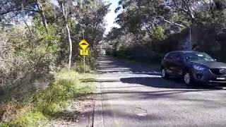 Middle Head to Bradleys Head  Walk [upl. by Esau177]