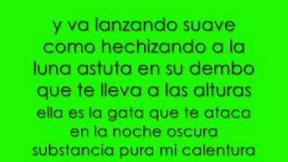 salvaje don omar  letra [upl. by Susette533]