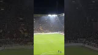 dortmund vs bochum Vorbereitung bundesliga [upl. by Sokin]