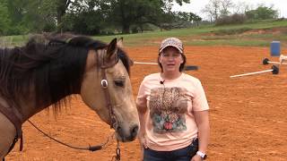 Drills For Your Barrel Horse  The 6 Barrel Exercise [upl. by Esinahs]