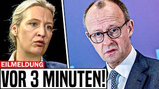 EILMELDUNG Alice Weidel HAT ES GESAGT [upl. by Ewold]