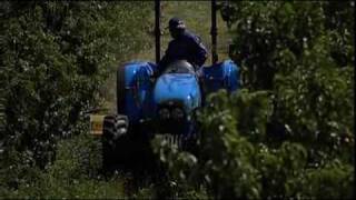 Landini Technofarmflv [upl. by Ientirb866]