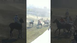 Polomatch  Freestyle polo Match Chitral Clip 8 horse horsesports pologame viralvideo chitral [upl. by Nitsed488]