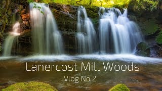 Lanercost Mill Woods Vlog No 2 [upl. by Reitrac957]